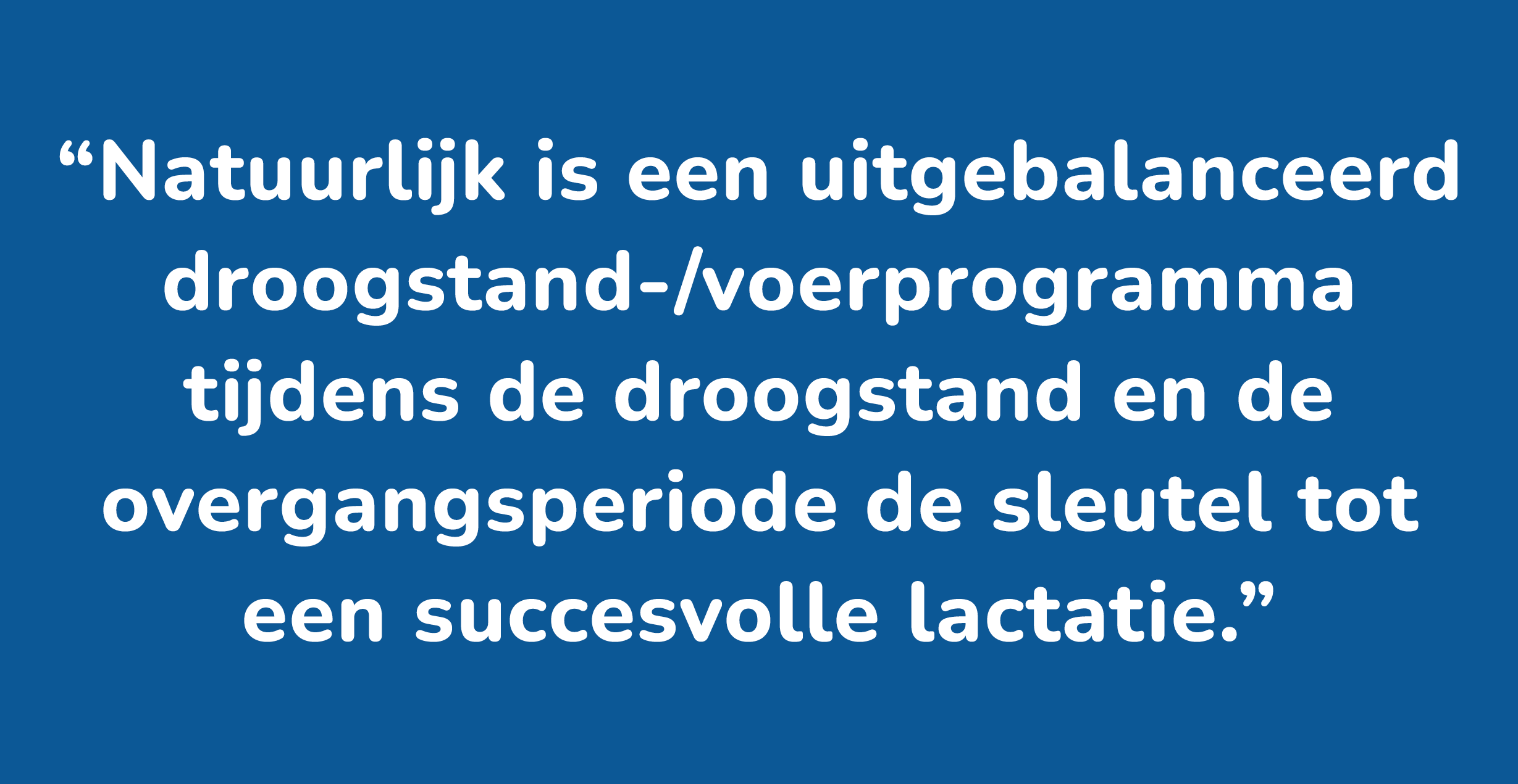 quote-dutch quote-dutch